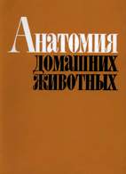 Скачать бесплатно книгу: Анатомия домашних животных,- Акаевский А.И.