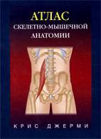 Скачать бесплатно книгу: Атлас скелетно-мышечной анатомии, Джерми К.
