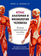 Атлас: анатомия и физиология человека - Билич Г.Л.
