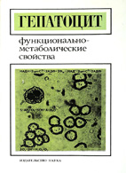 Гепатоцит: функционально-метаболические свойства - Гулак П.В.