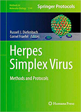 Herpes Simplex Virus: Methods and Protocols - Russell J. Diefenbach, Cornel Fraefel