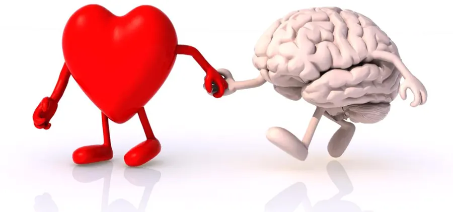 Химическая реакция в мозге человека которая вызывает любовь