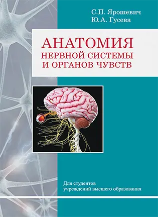Анатомия нервной системы и органов чувств - Ярошевич С. П.