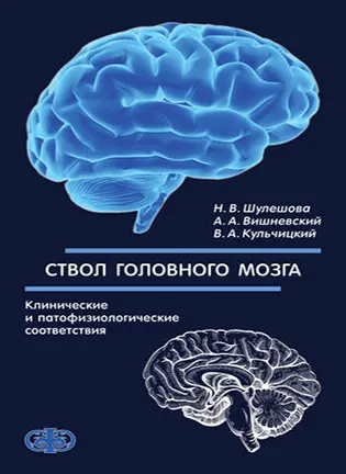 на фото Ствол головного мозга: клинические и патофизиологические соответствия - Шулешова Н. В.