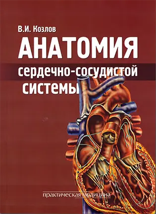 на фото Анатомия сердечно-сосудистой системы - Козлов В. И. - Учебное пособие