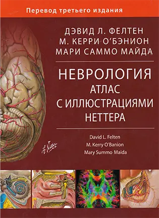 Неврология: Атлас с иллюстрациями Неттера - Д.Л. Фелтен, М.К. О'Бэнион, М.С. Майда