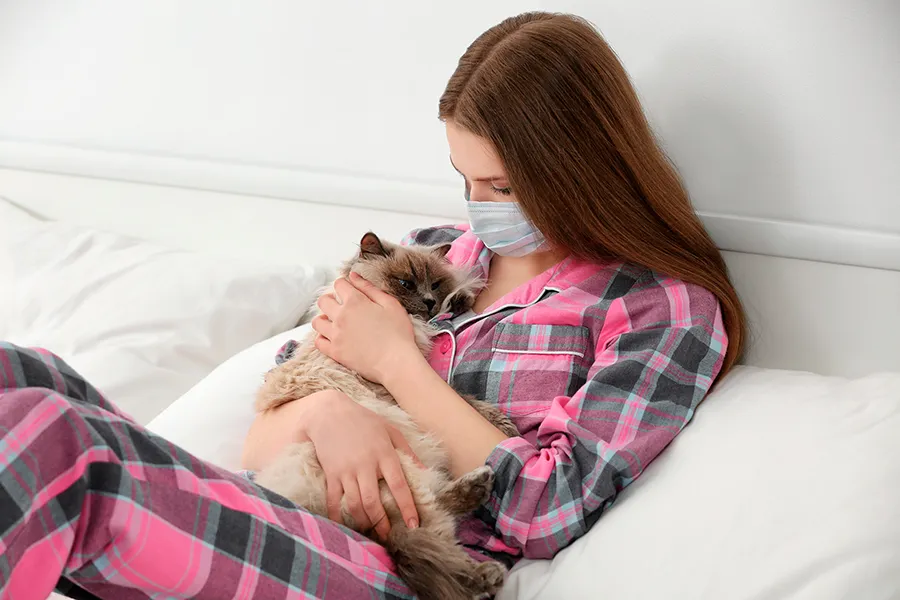 На фото Як зрозуміти що у вас алергія на котів?