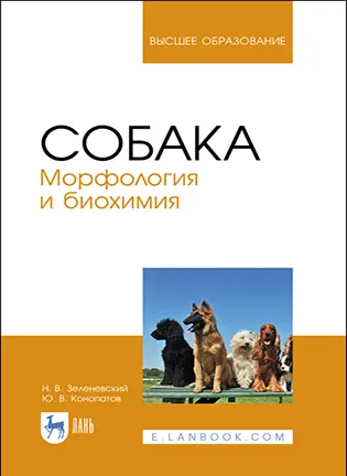 На фото Собака - Морфология и биохимия - Зеленевский Н. В.