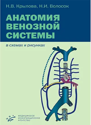 На фото Анатомия венозной системы (в схемах и рисунках) - Крылова Н.В., Волосок Н.И. - Учебное пособие.