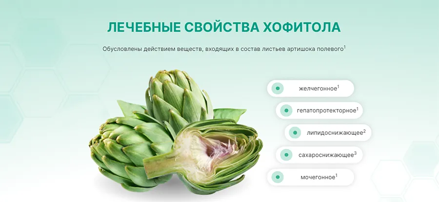 на фото Лечебные свойства хофитола