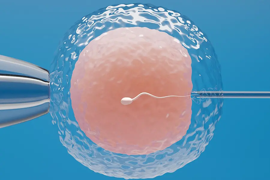 Запліднення in-vitro: наука і надія на сімейне щастя