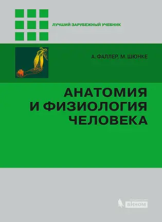 Анатомия и физиология человека - А. Фаллер, М. Шюнке