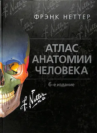 на фото Атлас анатомии человека - Фрэнк Неттер - Учебное пособие